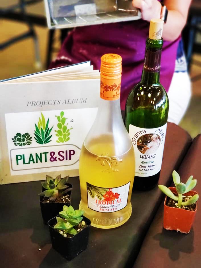 plant&sip with two bottles of wine and three potted plants