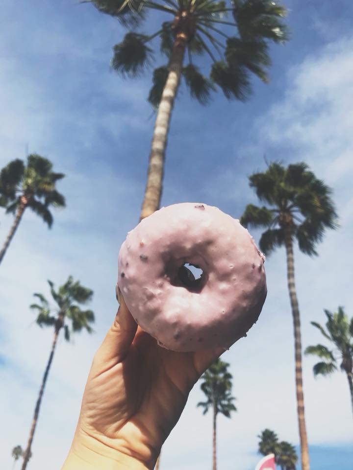 hand holding a piece of donut under doub palm tree