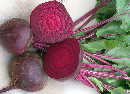 beet root