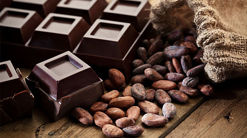 chocolate bar and cacao seeds