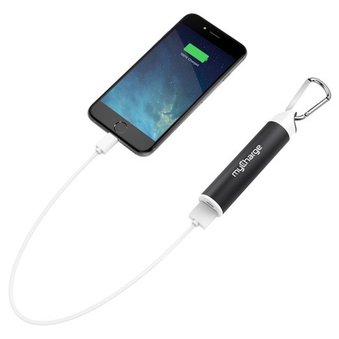 mobile phone and portable charger