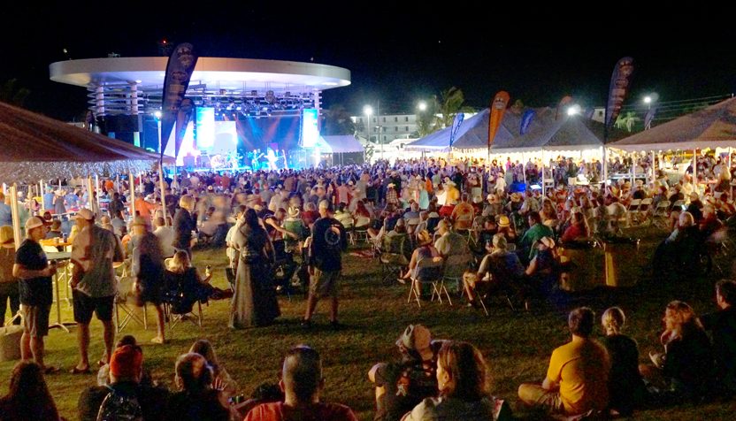 crowd of people attending an overnight festival and concert