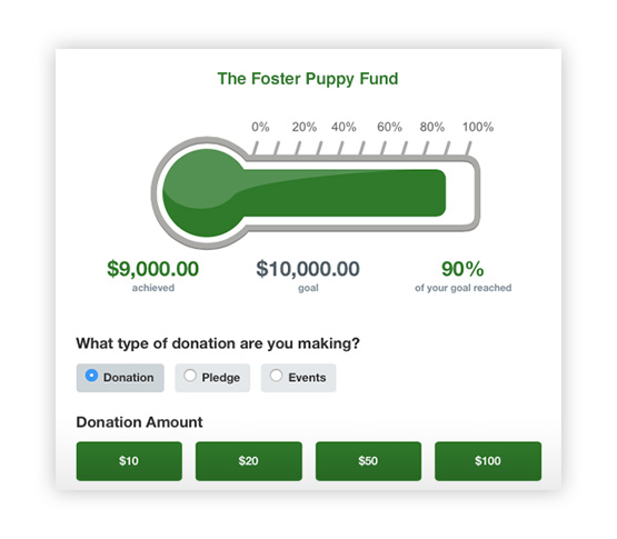 a donation tracker and an image of thermometer above