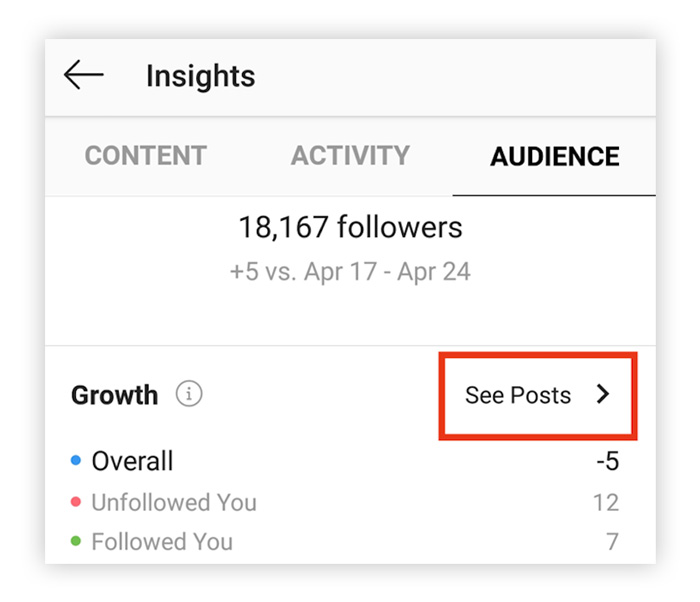 instagram audience report