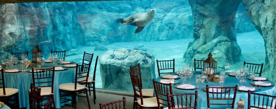 an underwater venue