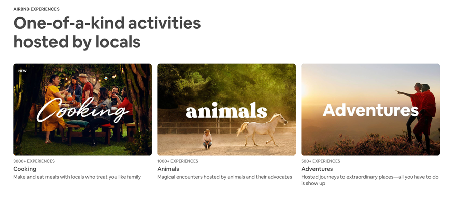 Airbnb activities hosted by locals