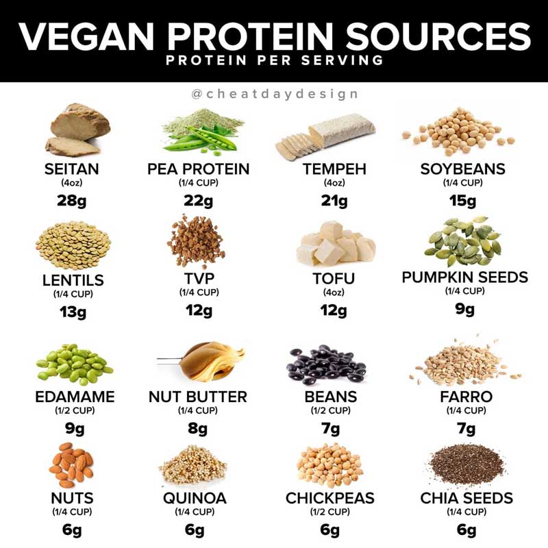 list of vegan protein sources and protein per serving