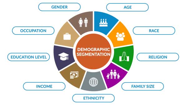 An-infographic-of-segmented-demographic-information-