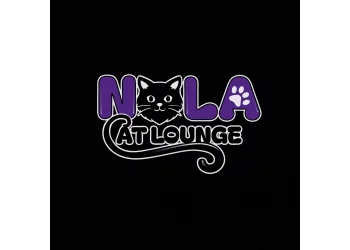 Cat Lounge After Dark - Ages 16+