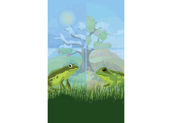 A Year With Frog and Toad