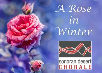 A Rose in Winter