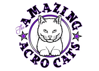 The Amazing Acro-Cats' Meowloween Spooktacular in St Louis