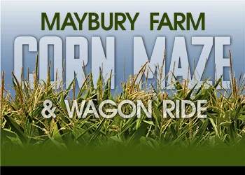 Maybury Farm Corn Maze - Sundays 2026