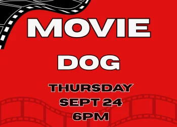 Movie - Dog - Donation at the door